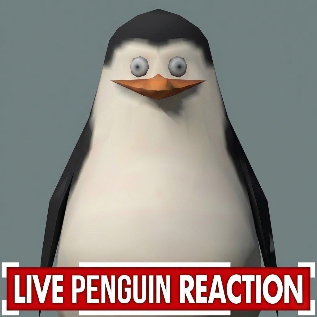 Live Penguin Reaction